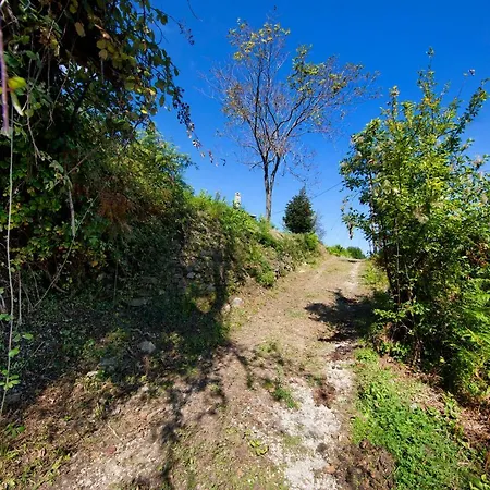 Tranquil On Hill